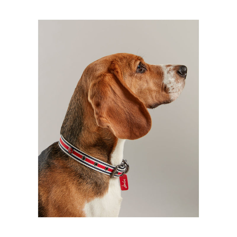 Joules Striped Dog Collar - Red