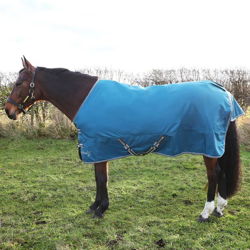 StormX Empra 50 Turnout Rug - Teal