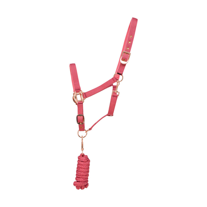 Hy Rose Gold Head Collar & Lead Rope