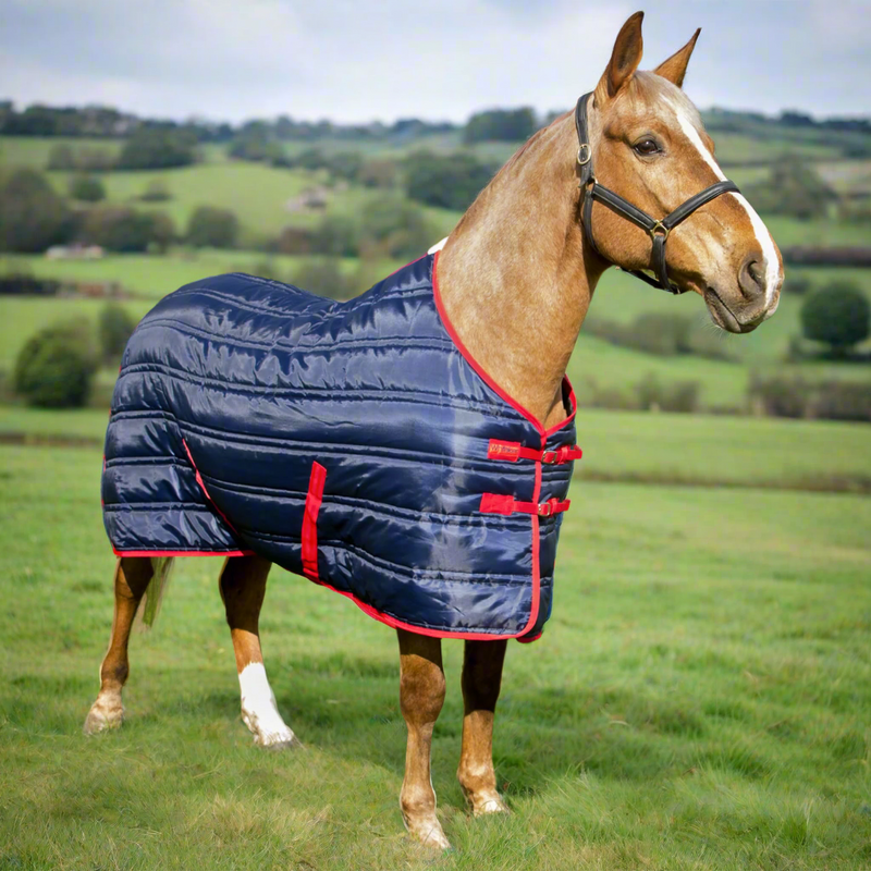 Whitaker Thomas Stable Rug 250GM