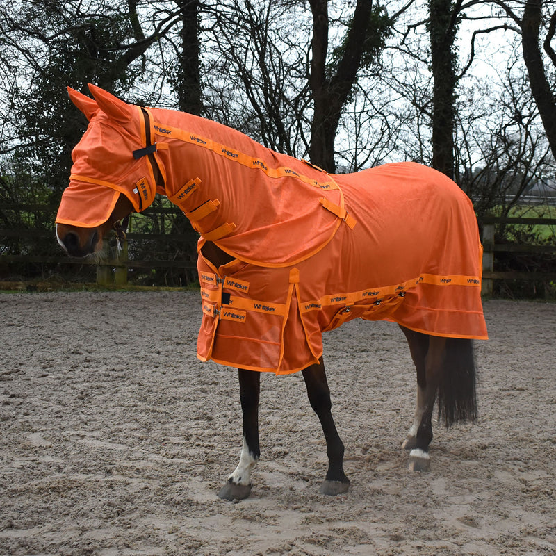 Whitaker Swot Fly Rug & Mask in Orange