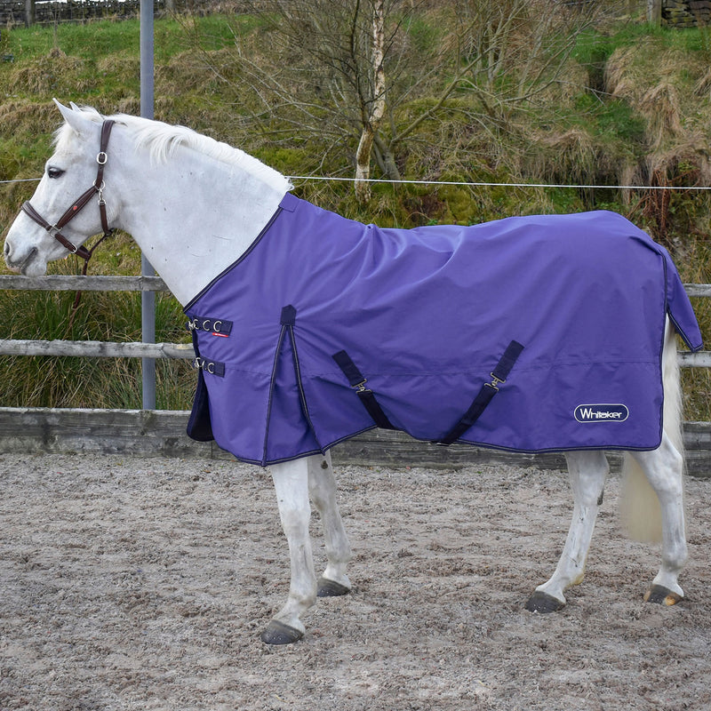 Whitaker Rastrick Turnout Rug OGM