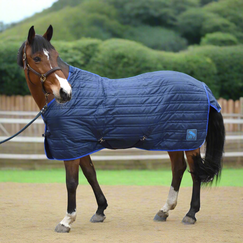 Whitaker Pippa Stable Rug 100GM