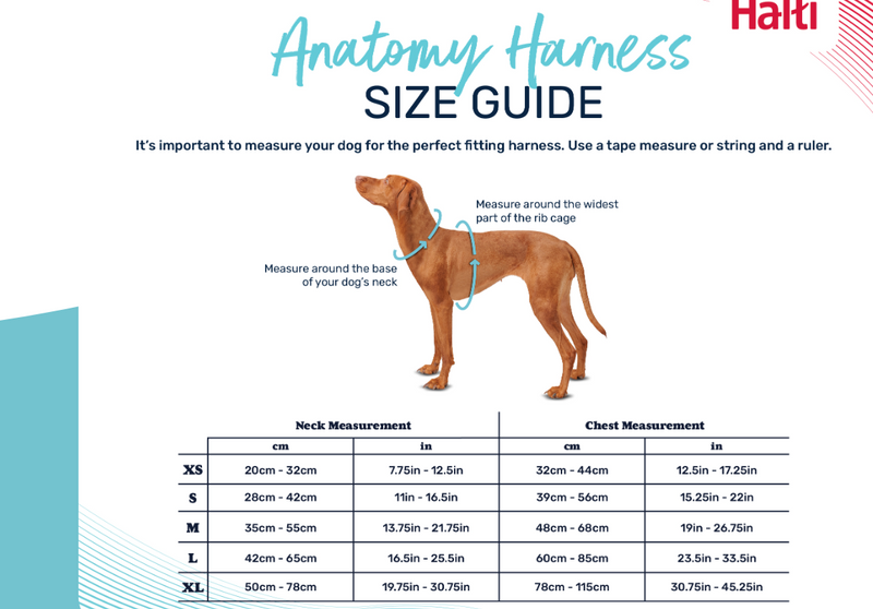 Halti Anatomy Harness