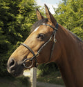 Heritage English Leather In-Hand Bridle - 4Pony.com