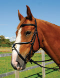 Heritage English Leather Bridle With Mexican Noseband - 4Pony.com