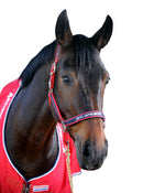 Whitaker Headcollar Padded Fleece Red/Navy - 4Pony.com