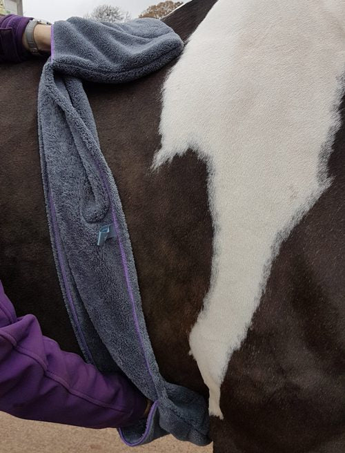 Henry Wag EQUINE Glove Towel