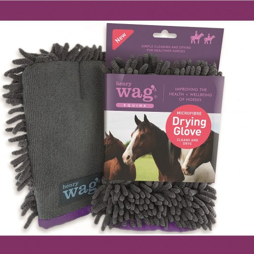 Henry Wag EQUINE Drying Glove