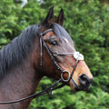 Gallop - Grackle Bridle brown XFull