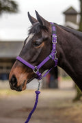 Mark Todd Deluxe Padded Headcollar with Leadrope