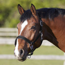 SALE!! Bitz Deluxe Padded Headcollar black (only cob left)