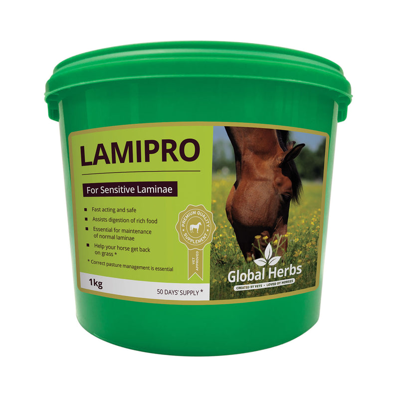 Global Herbs Lamipro Powder
