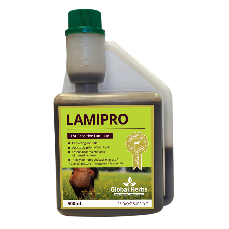 Global Herbs Lamipro Liquid