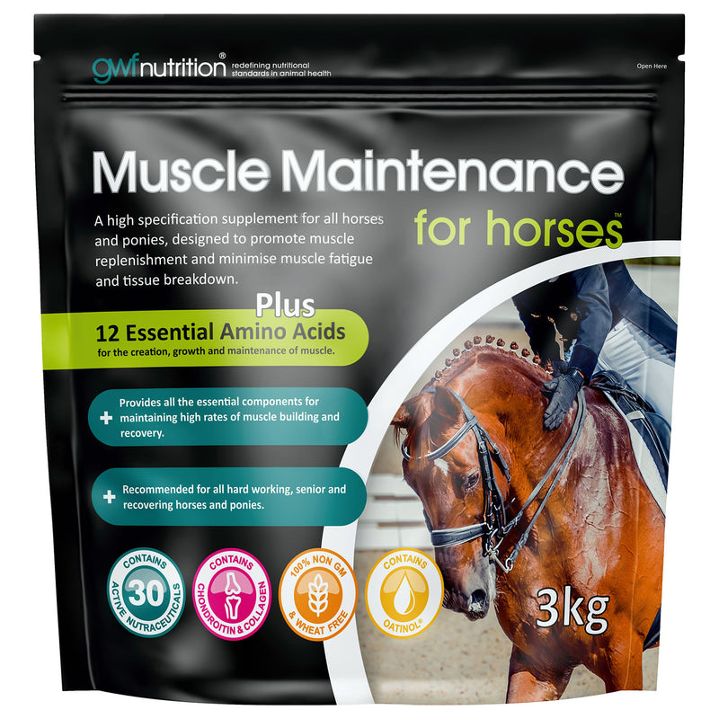 GWF Muscle Maintenance For Horses