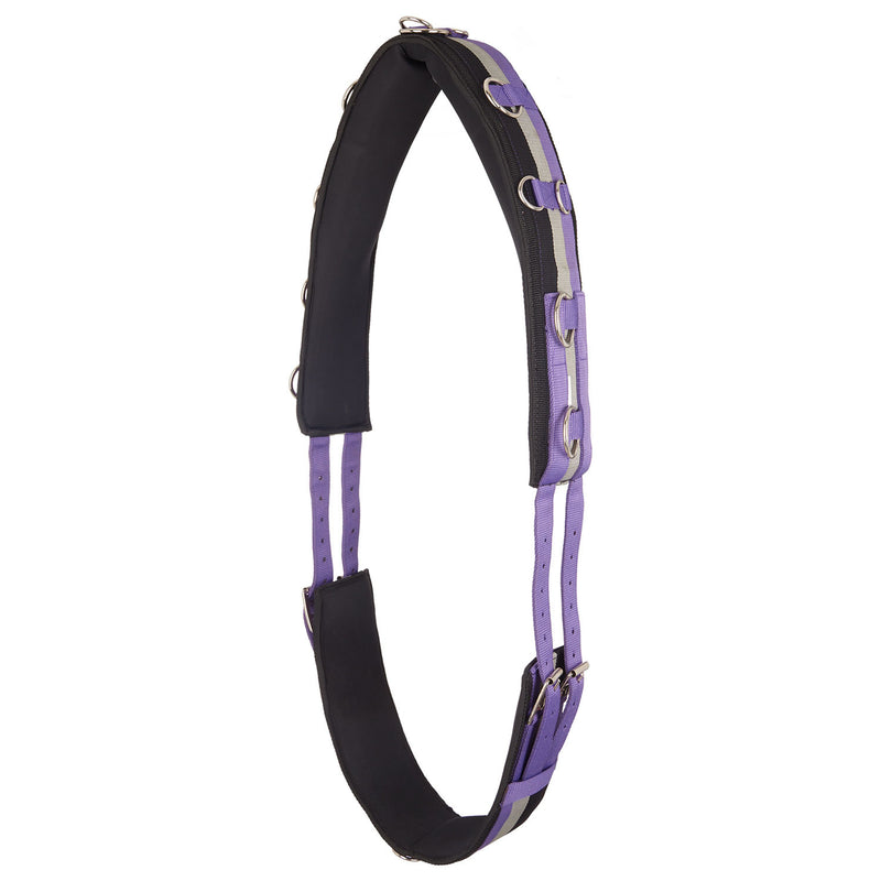 Imperial Riding Lunging Girth Nylon IRHDeluxe