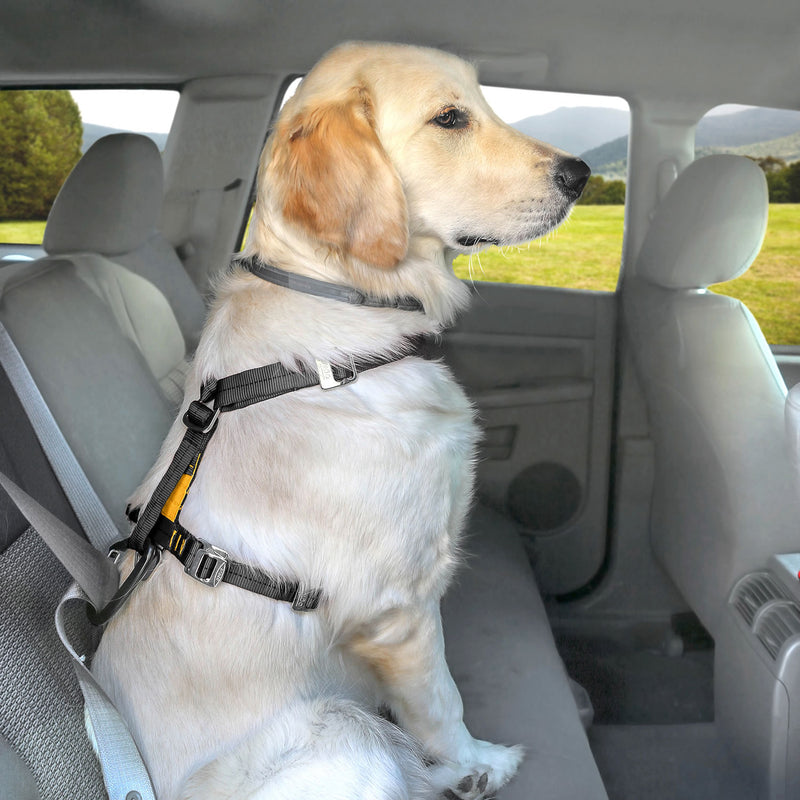 Kurgo Tru-Fit Smart Harness C/W Seatbelt Tether