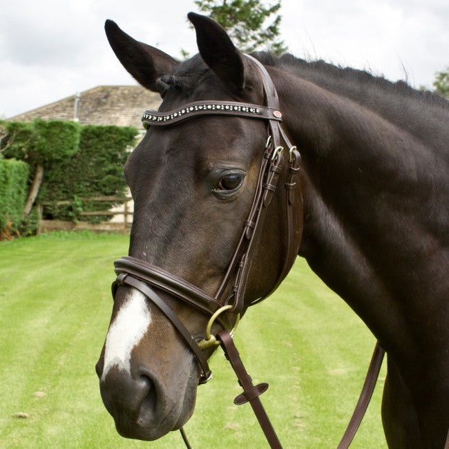 Whitaker Lynton Flash Bridle with Spare Browband - 4Pony.com