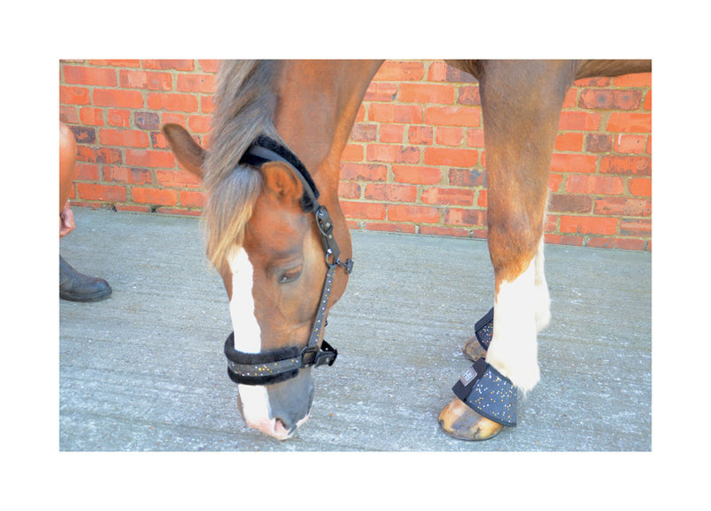 Hy Equestrian Dazzle Over Reach Boots