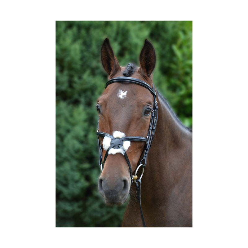 Hy Equestrian Mexican Bridle with Rubber Grip Reins