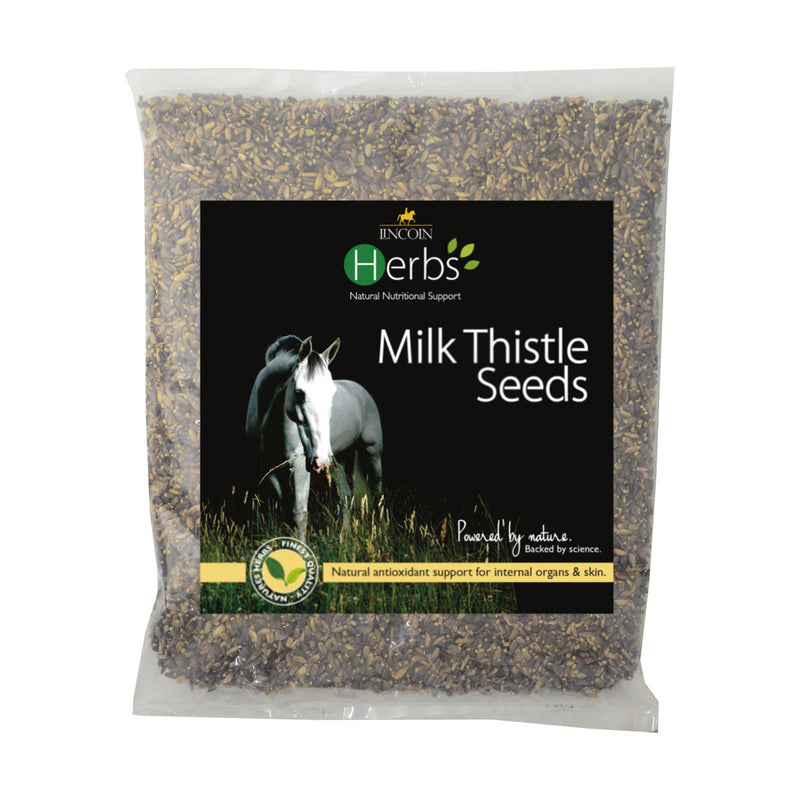 Lincoln Herbs Milk Thistle Seeds - 1kg