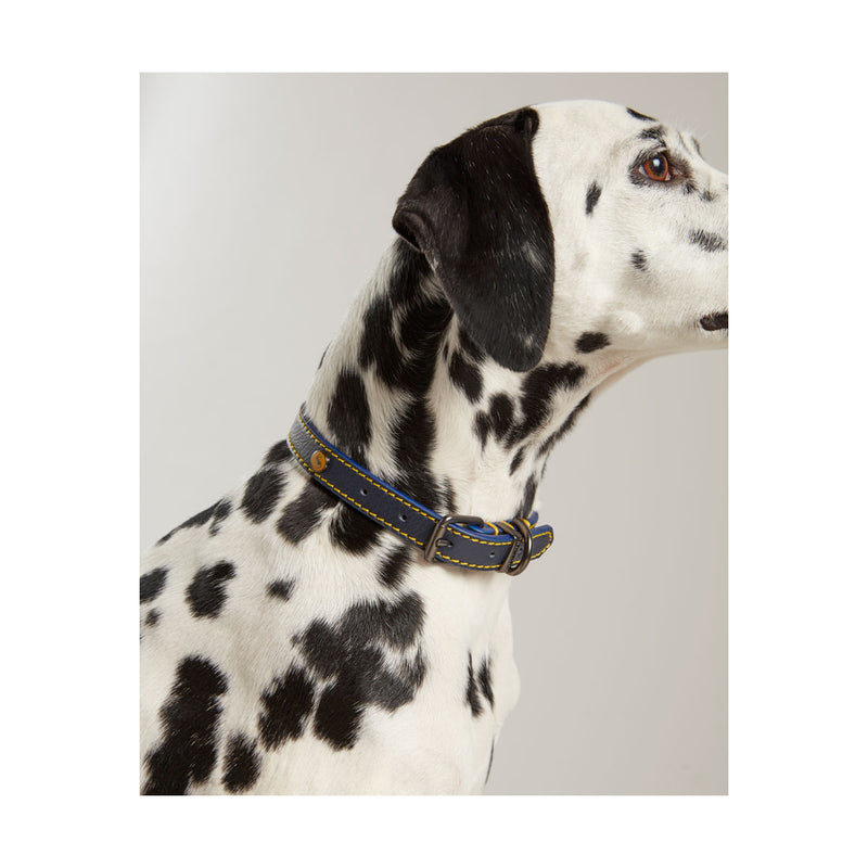 Joules Leather Dog Collar