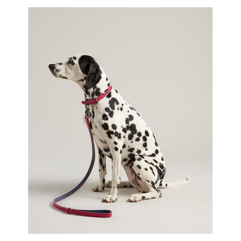 Joules Leather Dog Lead - Large