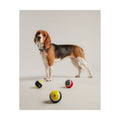 Joules Outdoor Balls - One Size