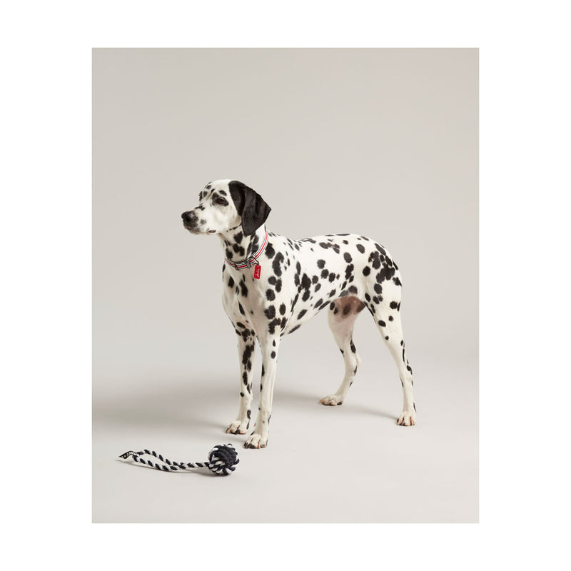 Joules Rubber and Rope Dog Toy - One Size
