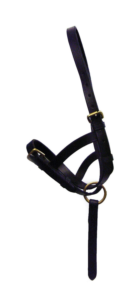 Hy Equestrian Leather Foal Slip
