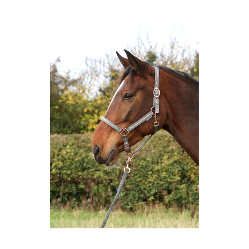 Hy Equestrian Rose Glitter Head Collar and Lead Rope Set