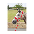 Supreme Products Dotty Fleece Head Collar & Lead Rope