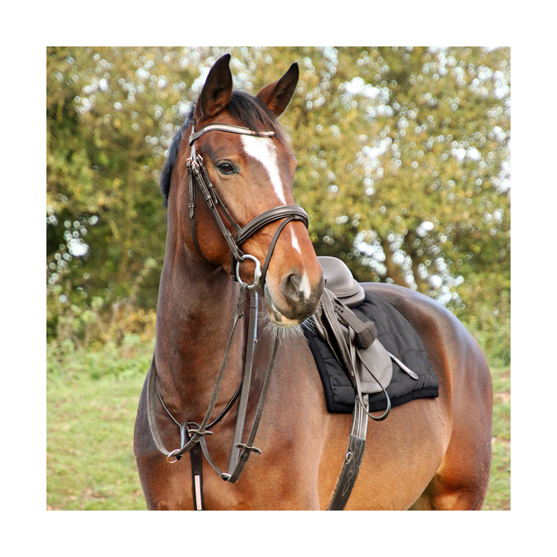 Hy Equestrian Rosciano Rose Gold Bridle